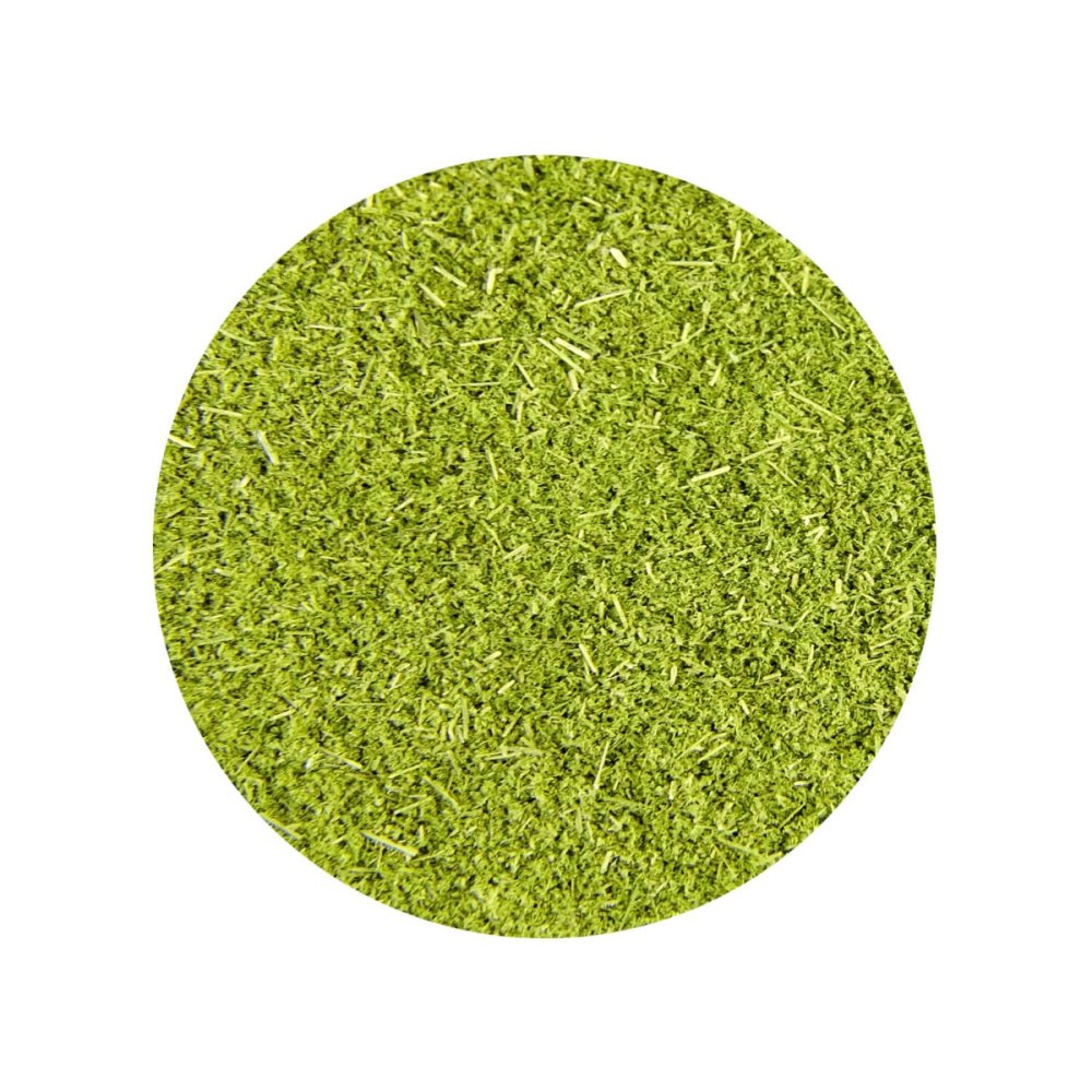 Herbe d'orge bio en poudre