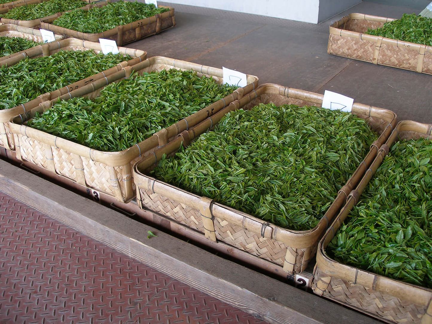 Matcha Powder Organic