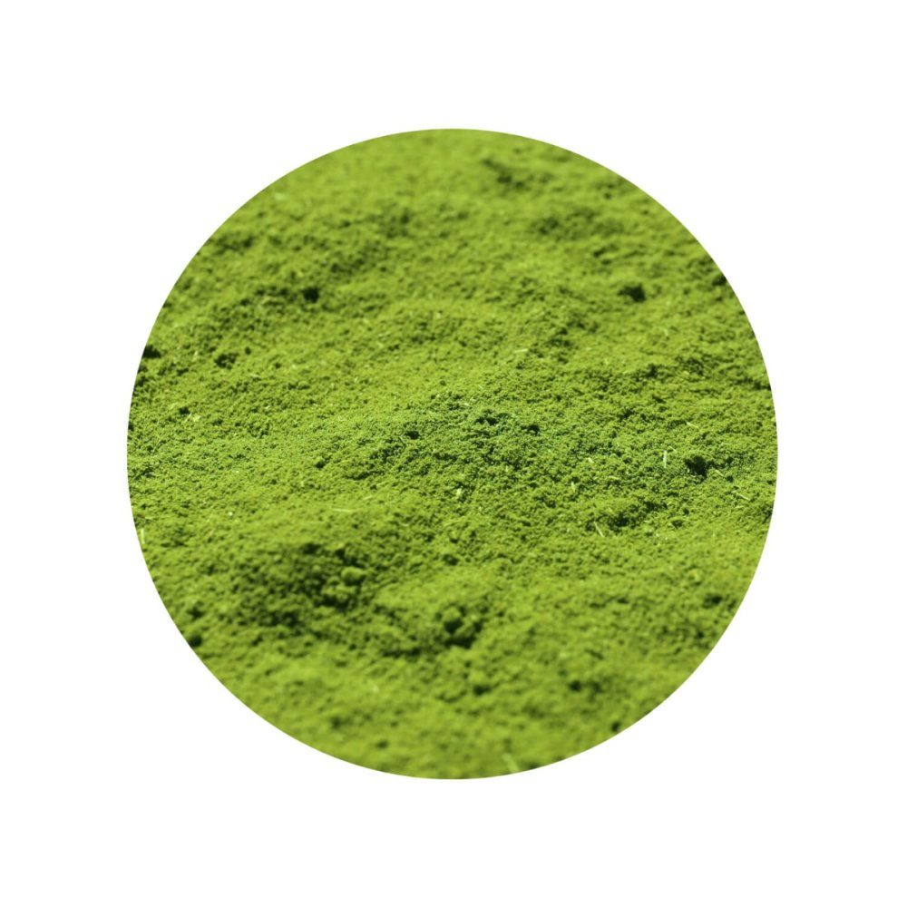 Moringa Powder Organic