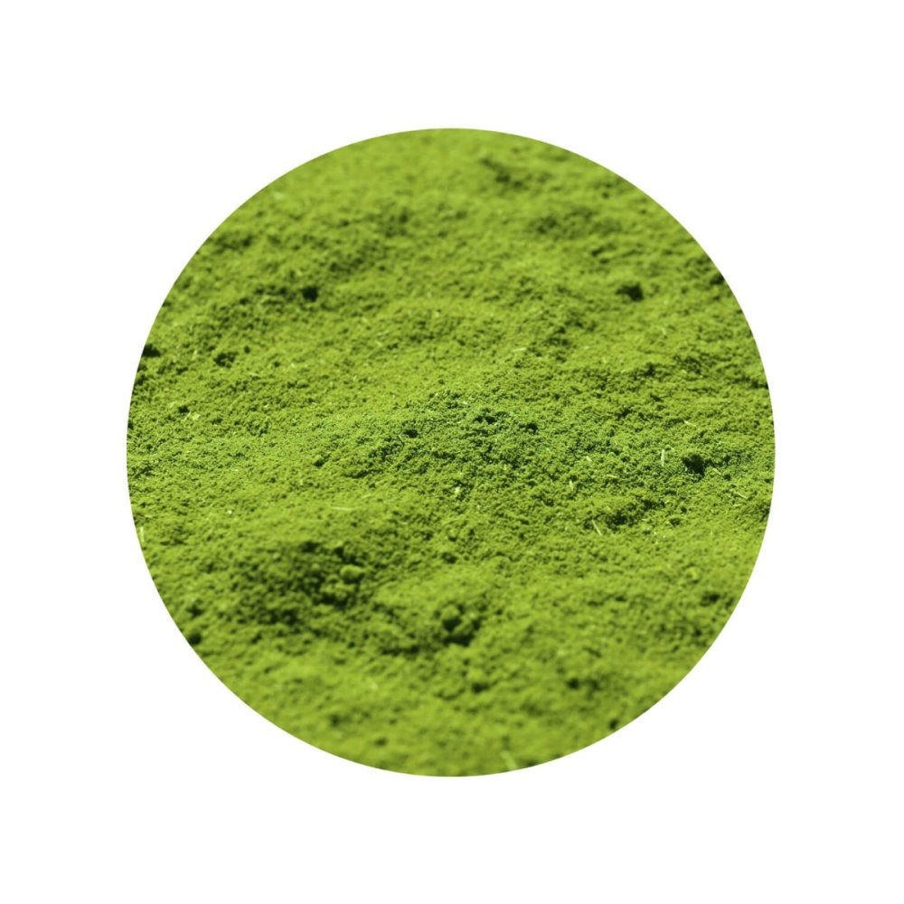 Moringa bio en poudre